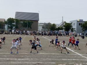 ｙさこい