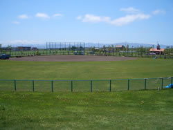 あいあい公園少年野球場外観