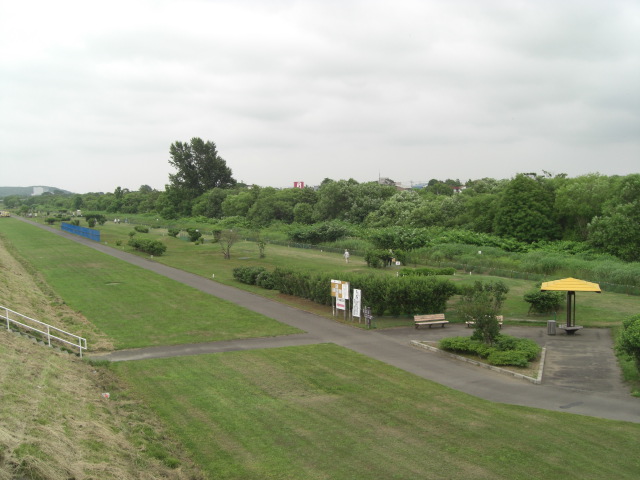 河川緑地 河川緑地