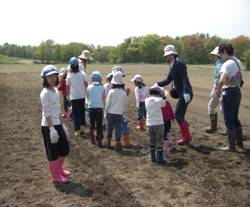 とうきびの種まきの様子