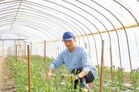 現代を活きる写真